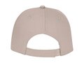 Ares 6 panel cap 6