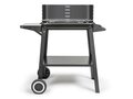 Livoo Charcoal barbecue