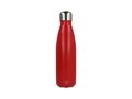 R-Swing 500ml 5