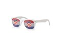 Flag Fun glasses - various countries 24