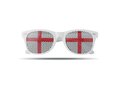 Flag Fun glasses - various countries