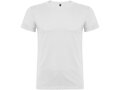 Beagle short sleeve men's t-shirt 14