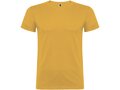 Beagle short sleeve men's t-shirt 4