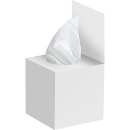 Tissue box met flap