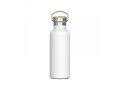 Bouteille Ashton 500ml