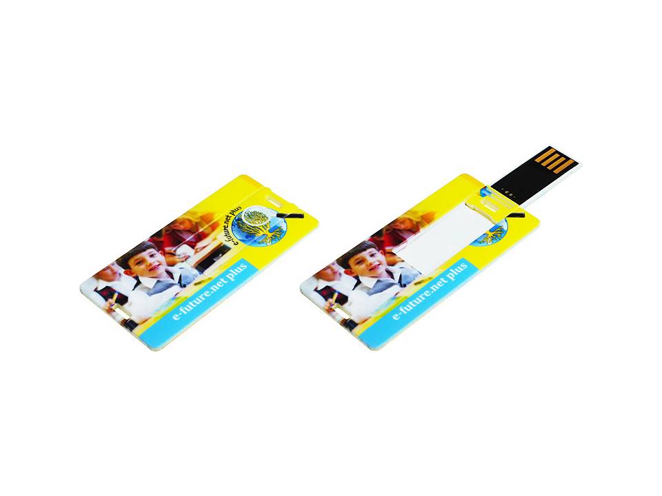 Usb Mini Card 4gb Pasco Ts