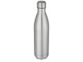 Cove vacuüm geïsoleerde roestvrijstalen fles - 750 ml 13